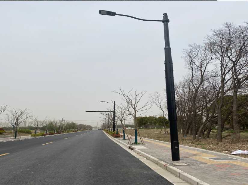 江苏上海综合杆 太阳能路灯工程